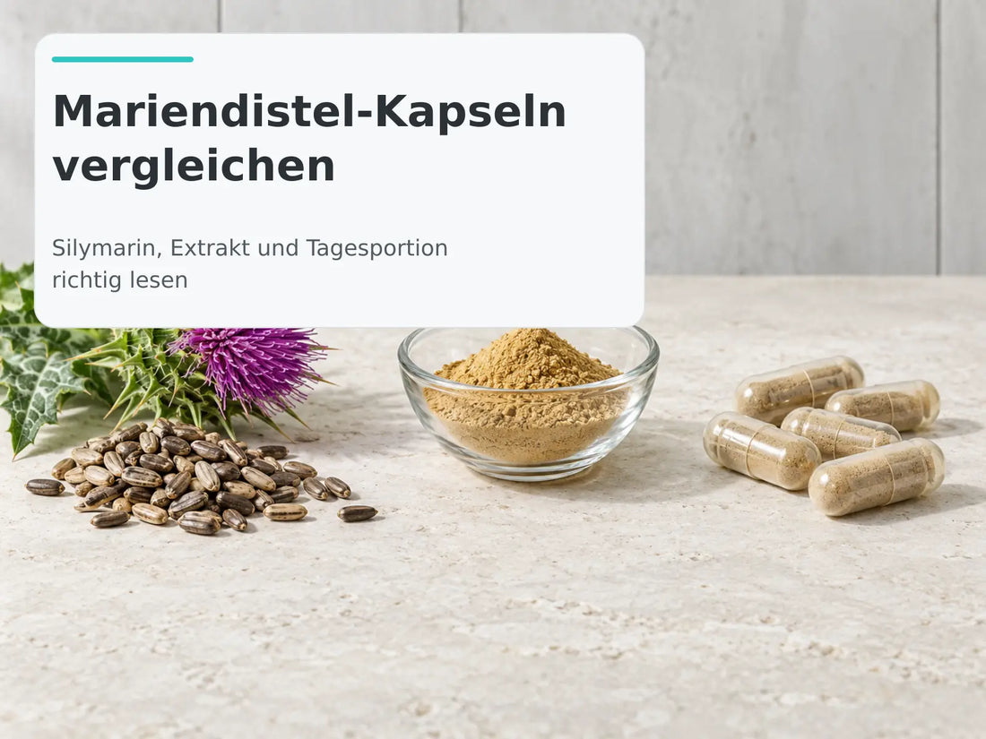Mariendistelblüte, Mariendistelfrüchte, Extraktpulver und Kapseln als Titelbild zum Vergleich von Mariendistel-Produkten