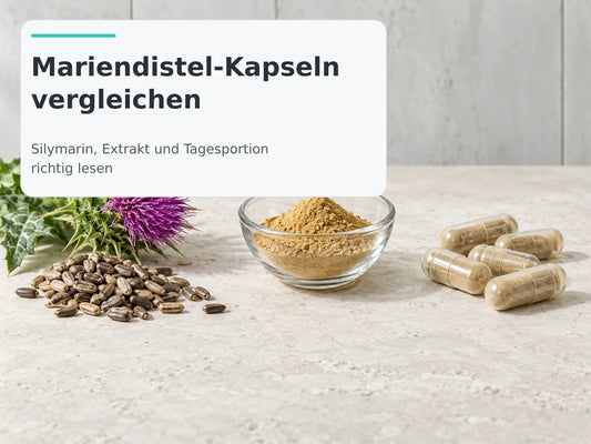 Mariendistelblüte, Mariendistelfrüchte, Extraktpulver und Kapseln als Titelbild zum Vergleich von Mariendistel-Produkten