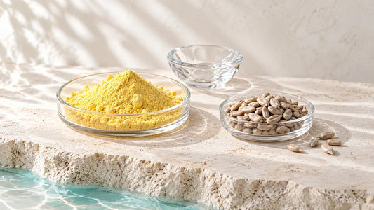 Gelbes Quercetinpulver und Sonnenblumenkerne in separaten Glasschalen zu Quercetin und Phospholipiden.