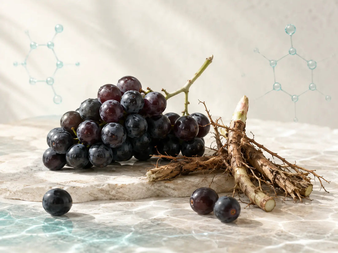 Was ist trans‑Resveratrol? Unterschiede, Vorkommen und Formen erklärt