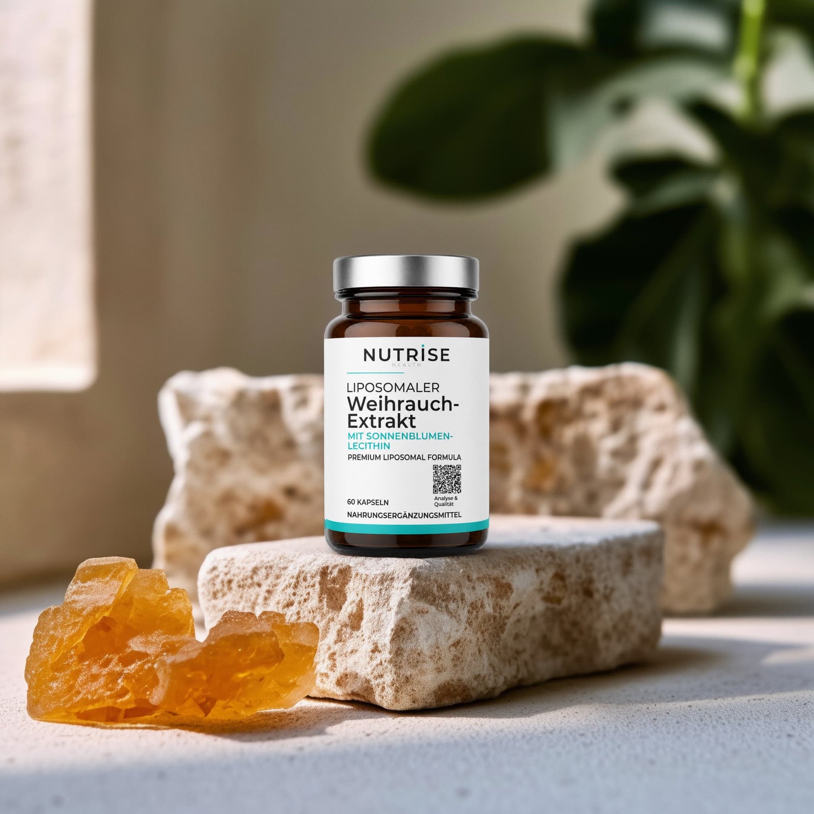 Nutrise Health Liposomaler Weihrauch-Extrakt in einer Braunglasflasche auf Kalkstein mit naturgetreuem Weihrauchharz.